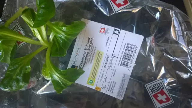 lamb's lettuce