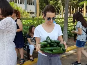 100% organic cucumbers