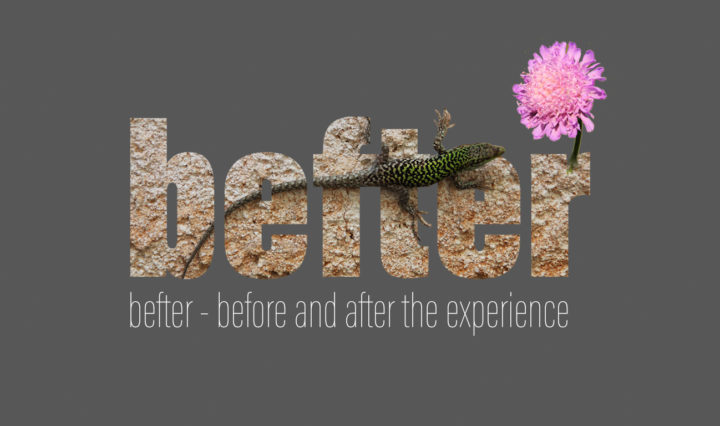 before and after the experience - a new collaborative teaching concept