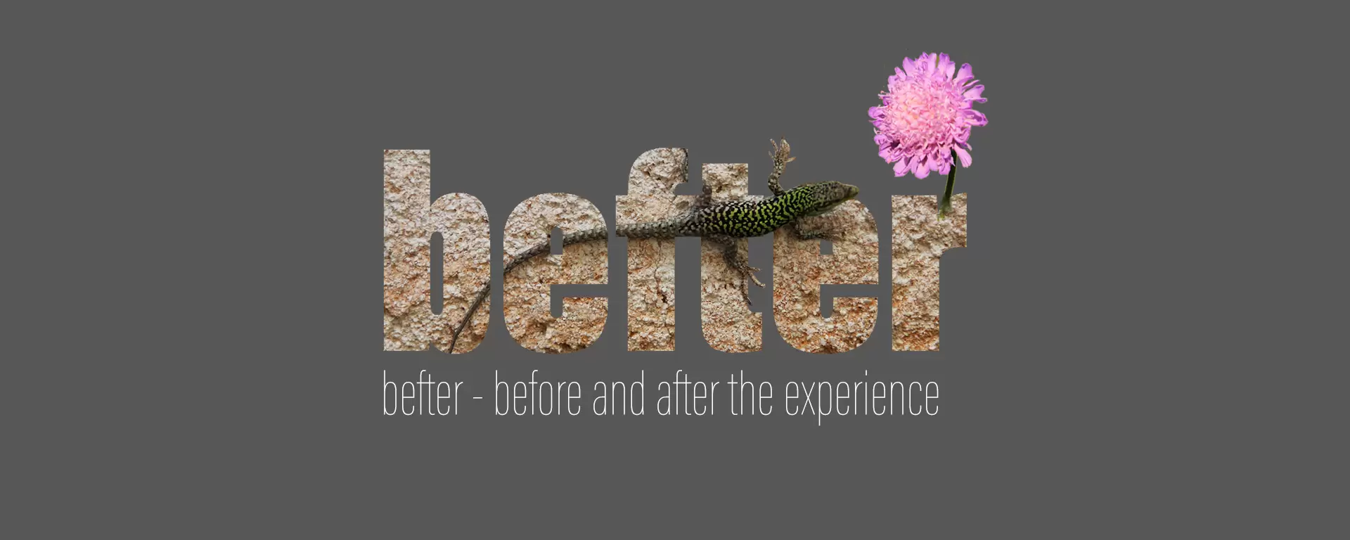 before and after the experience - a new collaborative teaching concept