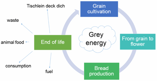 life cycle of bread