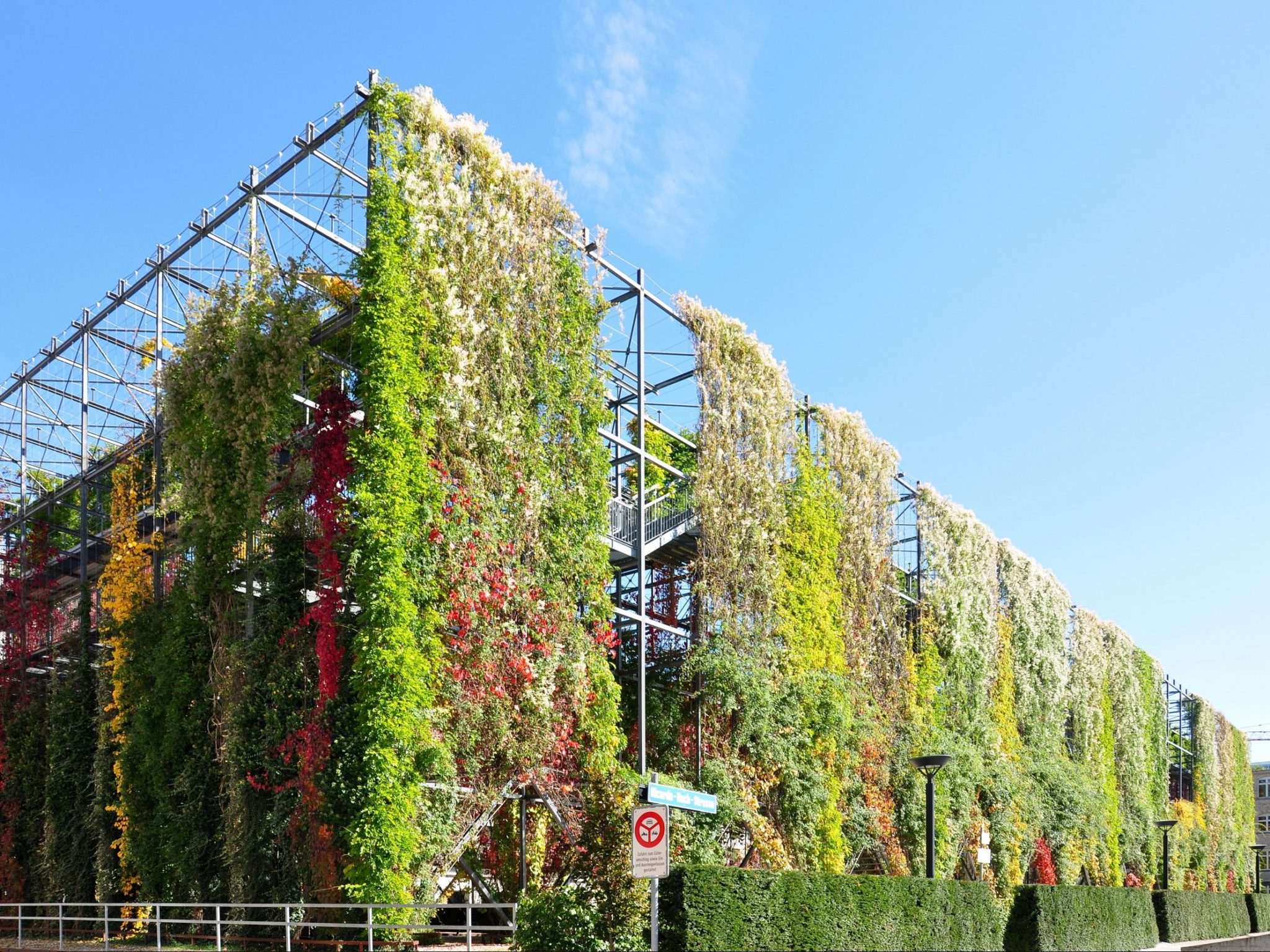 Green walls for a green City! | Don't Waste My Energy!