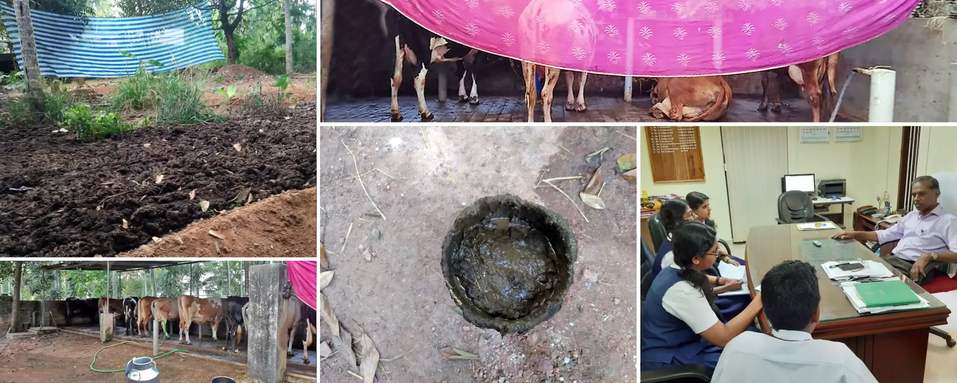 organic farming in Kerala, India