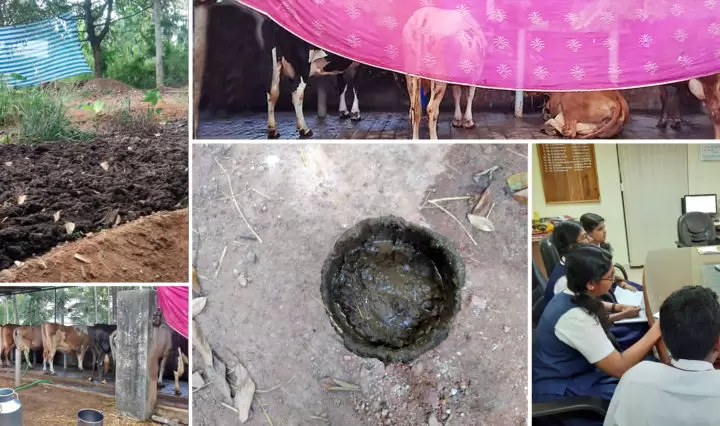 organic farming in Kerala, India