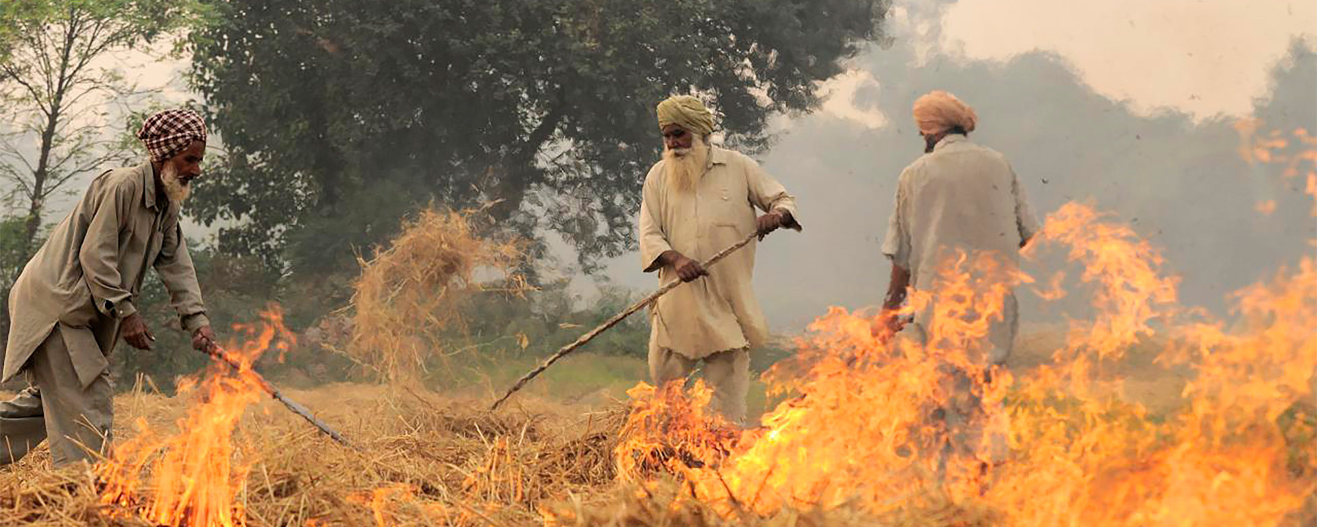 air pollution problem through stubble burning in Delhi India, Pic by Neil Palmer (CIAT)