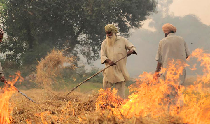 air pollution problem through stubble burning in Delhi India, Pic by Neil Palmer (CIAT)