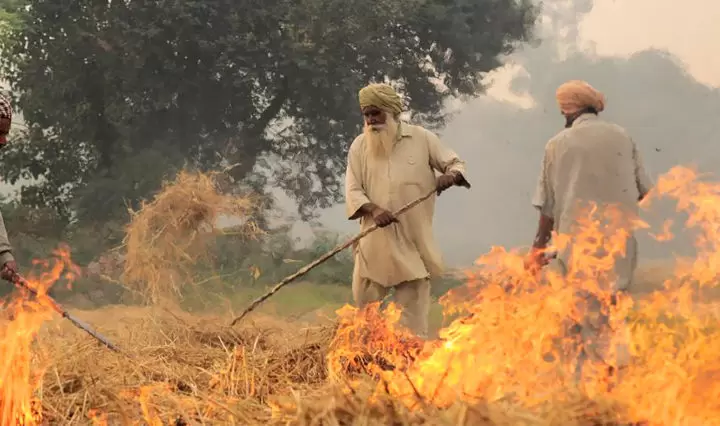 air pollution problem through stubble burning in Delhi India, Pic by Neil Palmer (CIAT)