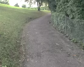 (3) More paths in the forest of our hometown to reach the next town in less time