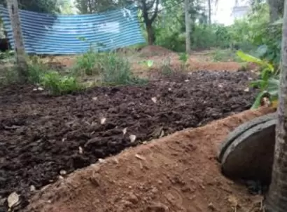 Compost used in the garden - Picture from India