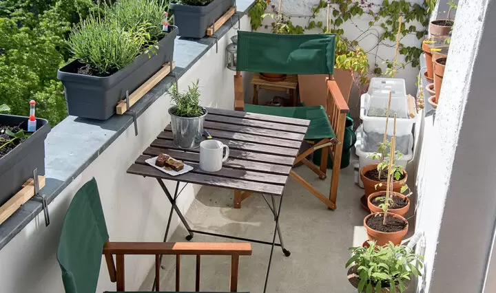 living vegan in the city, on the balcony