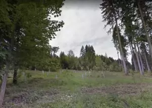 Future growing space