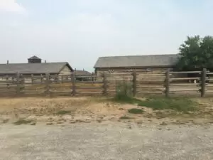 Old log cabin in Canada