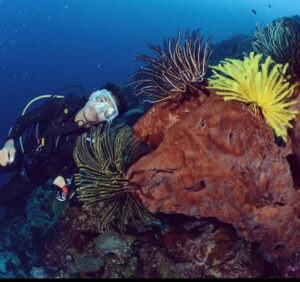 Coral reef with diver Steve