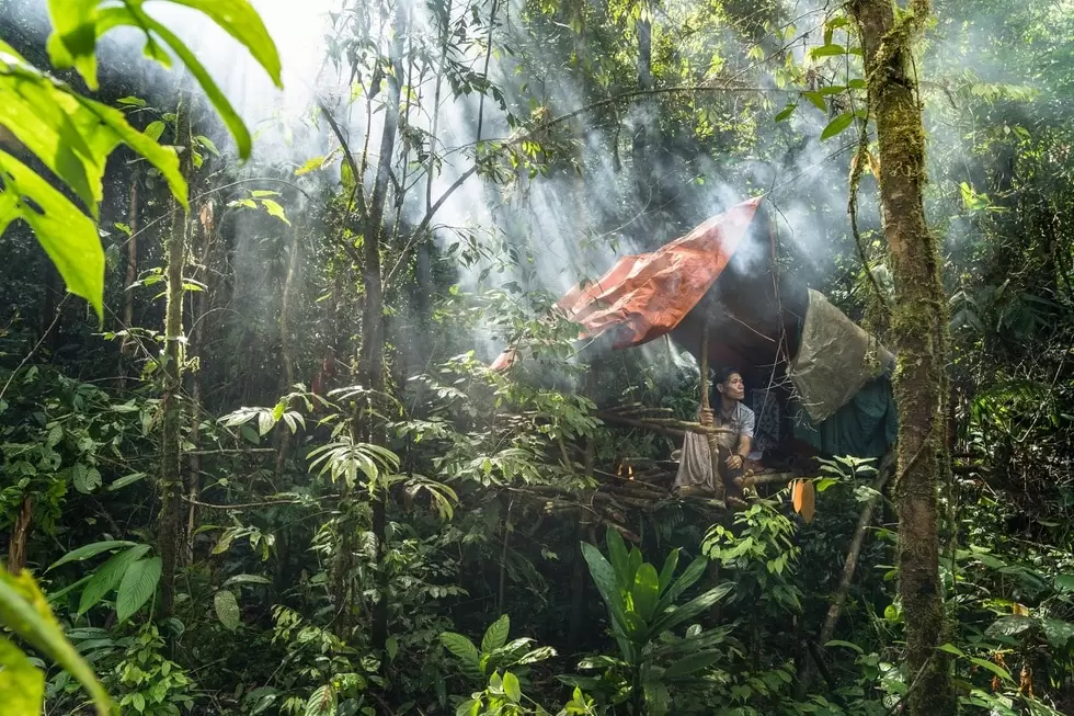 Cinematic picture of a penan hut in the rainforest