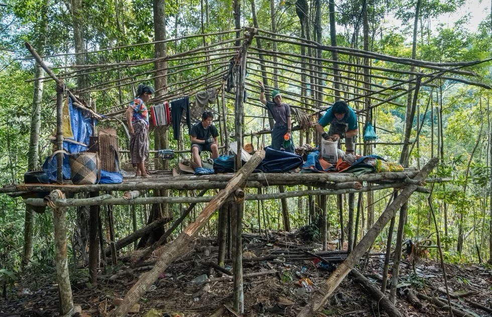 Primitive Penan hut in the jungle