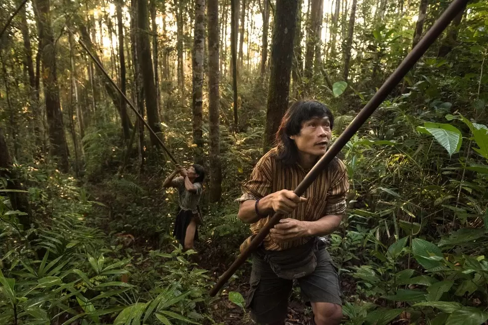 Penan hunter with a blowgun