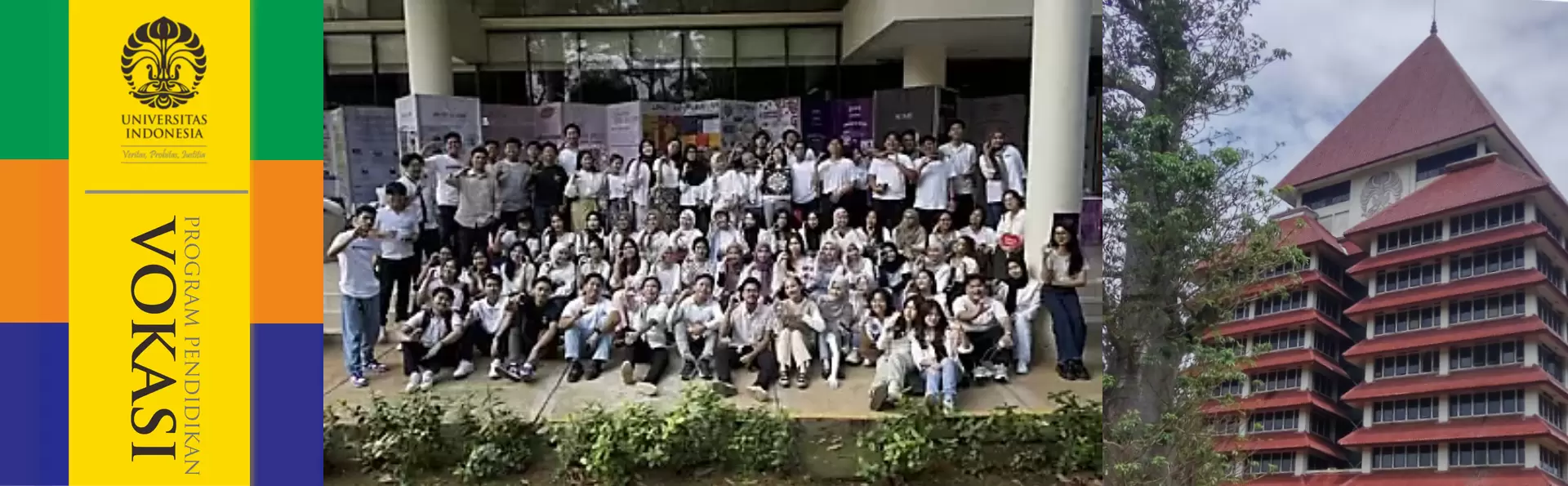 Universitas Indonesia Program Vikasi - The Horse project - cover image